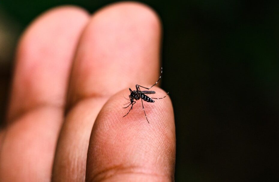 Atende Já Dengue e Saúde Agora abrem quatro UBS no sábado