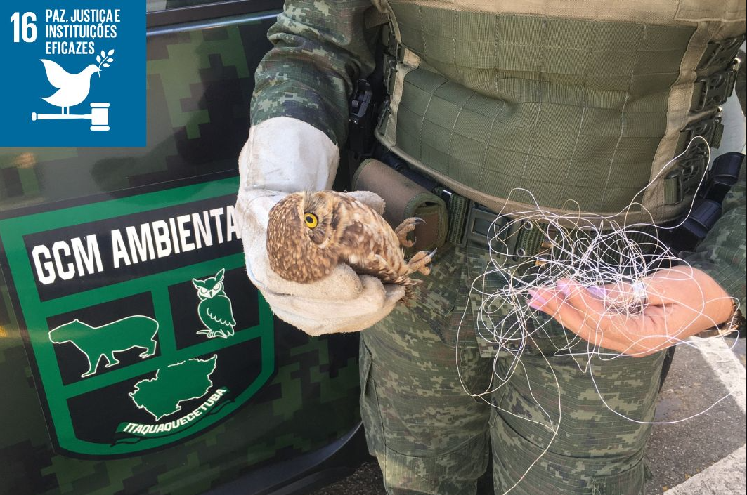 Guarda Ambiental de Itaquá resgata mais de 1,5 mil animais silvestres em três anos