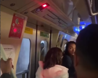 Linhas 1-Azul e 3-Vermelha do Metrô operam com lentidão após ocorrência na Estação Luz
